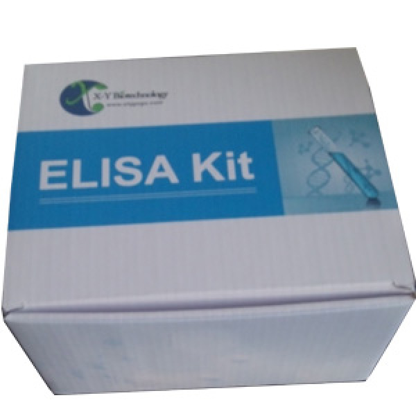 人粘蛋白/粘液素5B(MUC5B)ELISA试剂盒