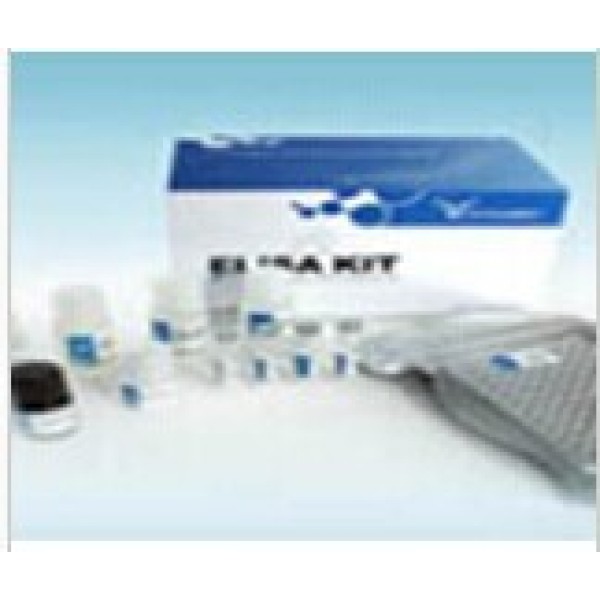 人乙型肝炎表面抗原(HBsAg)ELISA试剂盒