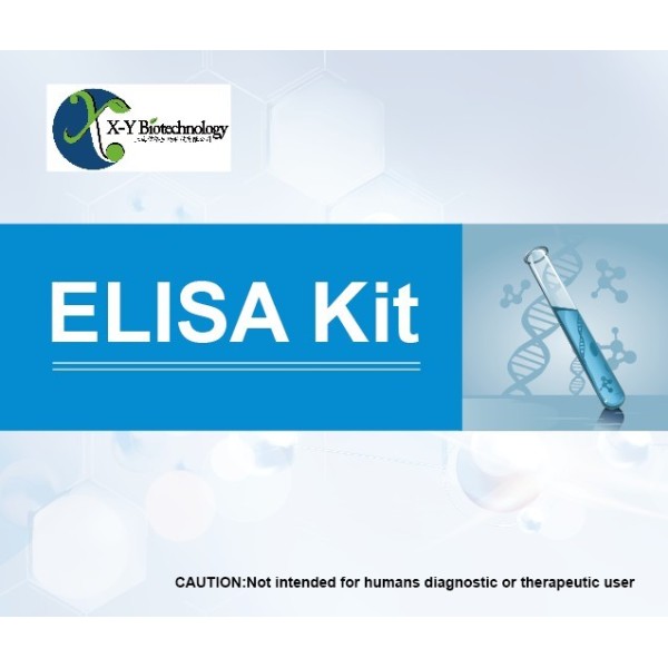 人松弛肽/松弛素(RLN)ELISA试剂盒