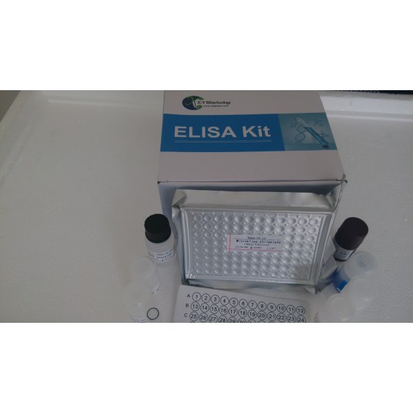 人缪勒管抑制物质/抗缪勒管激素(MIS/AMH)ELISA试剂盒