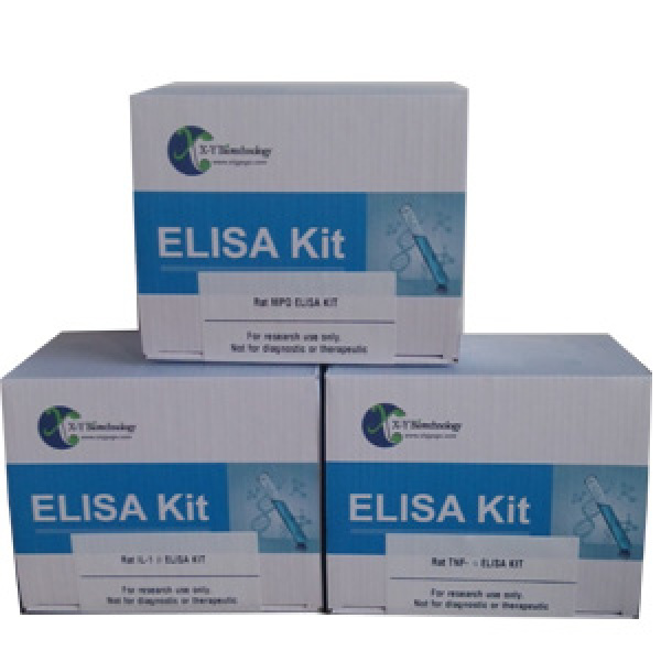 豚鼠过氧化脂质/乳过氧化物酶(LPO)ELISA试剂盒