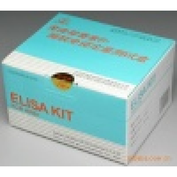 大鼠皮质醇(Cortisol)ELISA试剂盒   