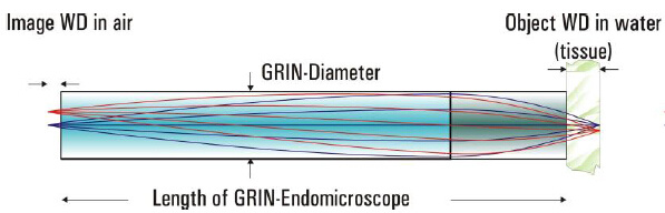 透镜 GRIN针内窥显微镜