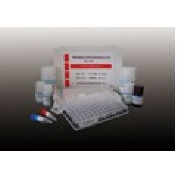 人血管生成素2(ANG-2)ELISA试剂盒