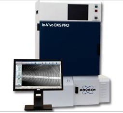 DXS PRO 小动物植物昆虫和种子成像的高分辨率专用X光系统
