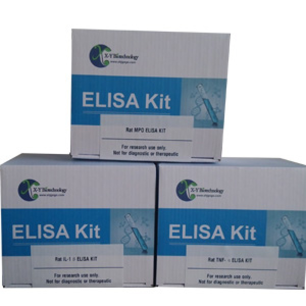 大鼠角化细胞内分泌因子(KAF)/双调蛋白(AR)ELISA试剂盒