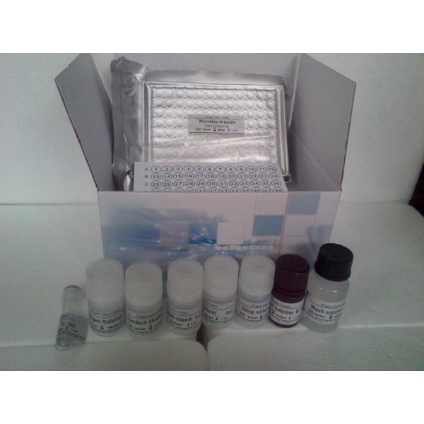 人抗纺锤体抗体(MSA)ELISA试剂盒kit说明书