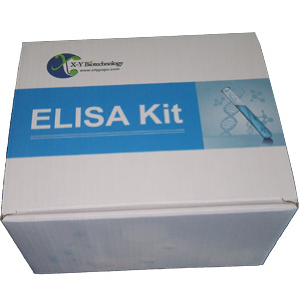 大鼠氧化低密度脂蛋白(OxLDL)ELISA试剂盒