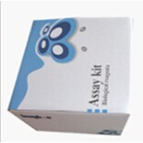 猴凝集素样氧化低密度脂蛋白受体1(LOX-1)ELISA试剂盒 