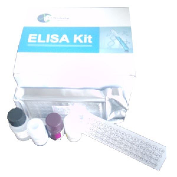 人胆囊收缩素A受体(CCKAR)检测试剂盒