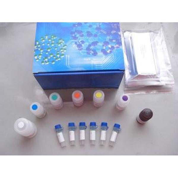 MicroElute DNA Clean Up Kit(200)(DNA/RNA纯化系列)D6296-02