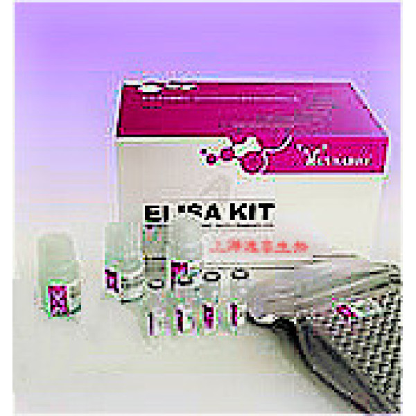 大鼠环孢素A(CsA)ELISA试剂盒kit说明书