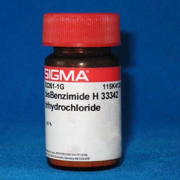 L-丙氨酰胺盐酸盐cas：33208-99-0