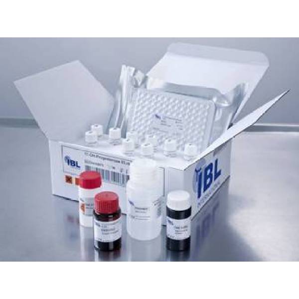 人二级淋巴组织趋化因子(SLC/CCL21)ELISA测试盒