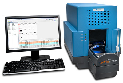 Simon全自动蛋白质印迹分析系统