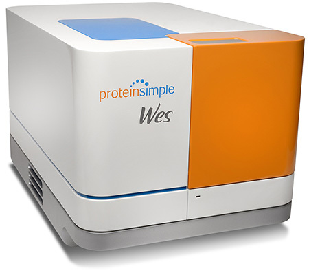 Wes全自动蛋白质印迹定量分析系统