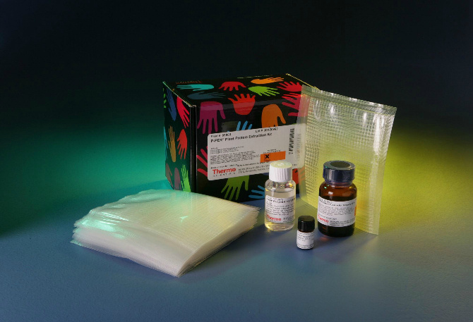 大鼠总胆汁酸(TBA)elisa检测试剂盒