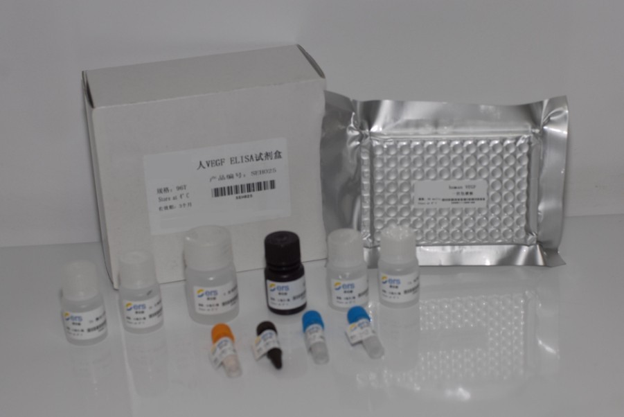 大鼠钙调磷酸酶(CaN)elisa检测试剂盒