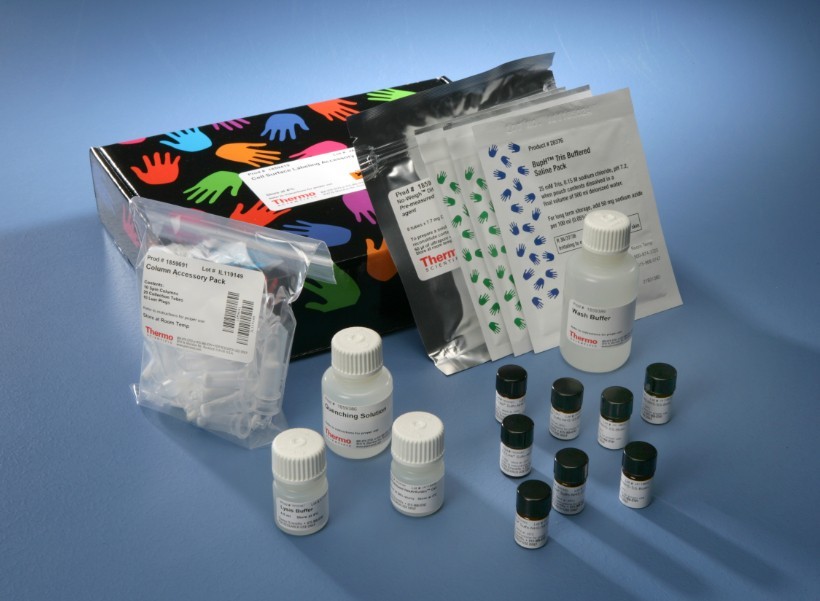 大鼠视黄醇结合蛋白(RBP)elisa检测试剂盒