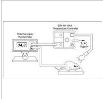 温度控制器 Thermocouple Temperature Controllers