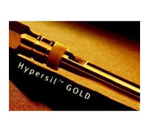 Thermo/热电 Hypersil GOLD aQ HPLC 色谱柱
