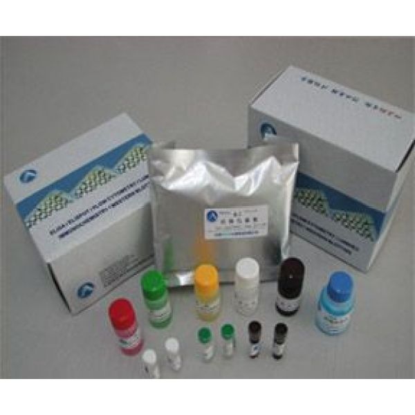 人循环免疫复合物(CIC)ELISA测试盒