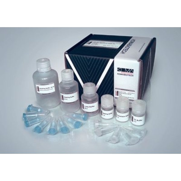 人胞浆免疫球蛋白(CIg)ELISA测试盒