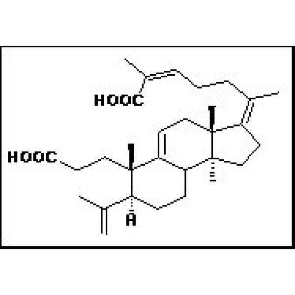 1,4-亚丁基琥珀酸与1,6-二异氰酸基己烷的聚合物143606-53-5报价