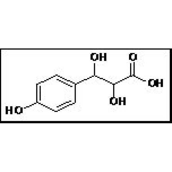 10%丙烯酰胺溶液(19：1，6M尿素，1xTBE)报价