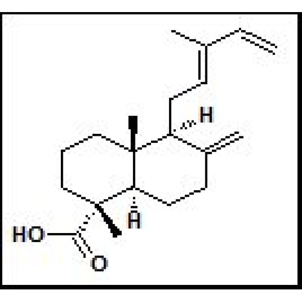 15%丙烯酰胺溶液(29：1，6M尿素，1xTBE)报价
