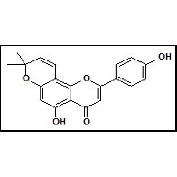 聚(甲基丙烯酸丁酯-co-甲基丙烯酸甲酯)25608-33-7报价