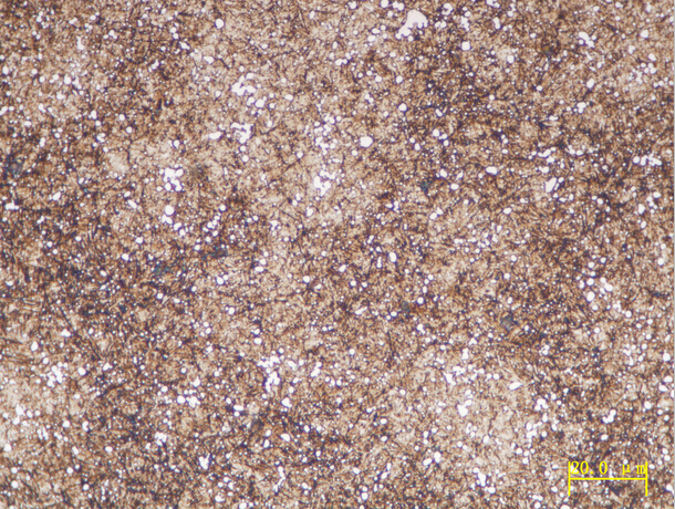 倒置金相显微镜GX53苏州西恩士工业科技有限公司