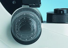 Leica DM1000 LED显微镜