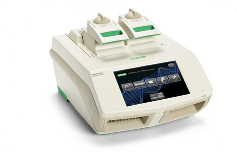 C1000 Touch&#8482; 96孔快速PCR 仪