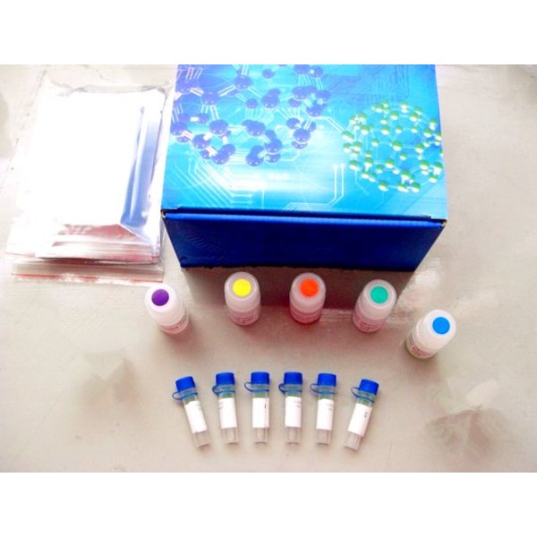 淋球菌抗体检测试剂盒