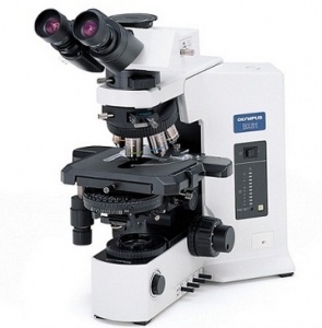Olympus全功能生物显微镜BX53