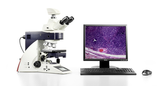 徕卡DM4000生物显微镜