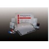 大鼠纤连蛋白检测试剂盒,FN试剂盒