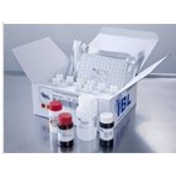 大鼠弹性蛋白检测试剂盒,ELN试剂盒