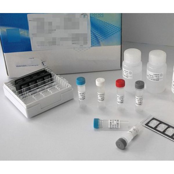 人缪勒管抑制物质/抗缪勒管激素（MIS/AMH）进口ELISA试剂盒