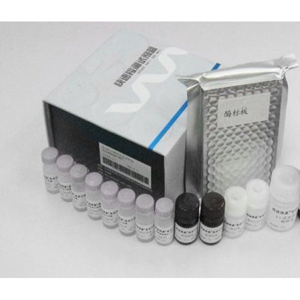 CAD,人胱天蛋白酶激活的脱氧核糖核酸酶ELISA检测试剂盒