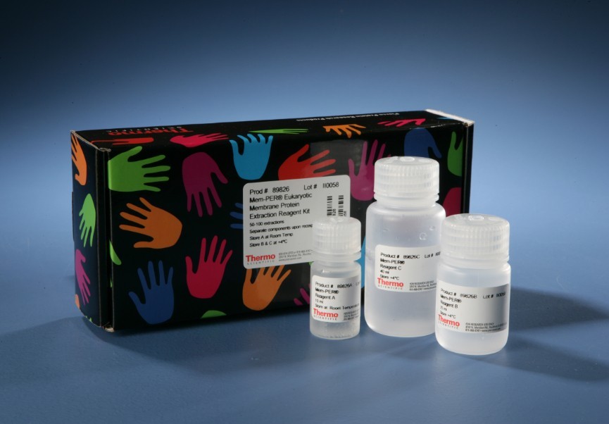 人伤寒抗体(typhoidAb)检测试剂盒