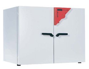德国binder/宾德FED240热风循环烘箱/FED240多功能干燥箱 