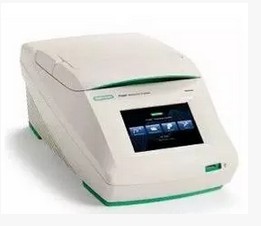 美国伯乐PCR T100 PCR 