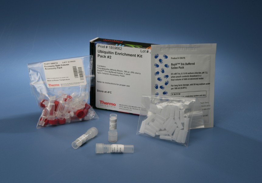 人血管内皮生长因子-D(VEGFD)检测试剂盒