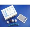 小鼠毒蕈碱型胆碱受体M2检测试剂盒,CHRM2试剂盒
