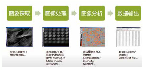 MetaMorph活细胞成像分析系统