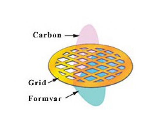 纯碳支持膜（纯碳膜）CF300-Cu/CF400-Cu-UL