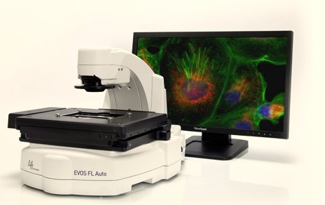 EVOS fl auto全自动荧光倒置显微镜系统