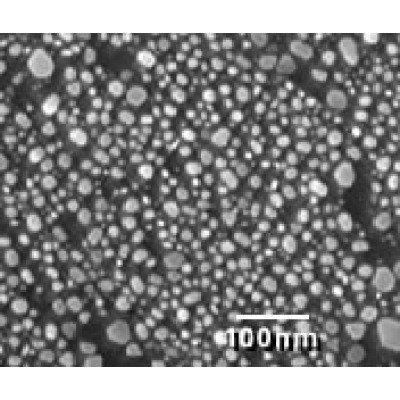 高分辨碳基金测试标样2 617-2C 高分辨碳基金测试标样2，含样品座C